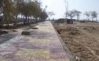 نمونه کار کف نما - 2